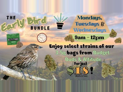 Early Bird Bundle